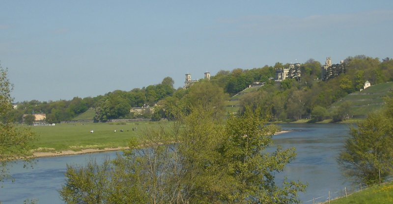 Das Loschwitzer Weinbergsgel�nde im Jahre 2014